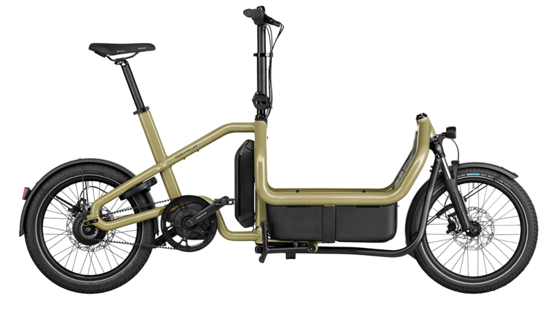 Riese and Müller Carrie-2