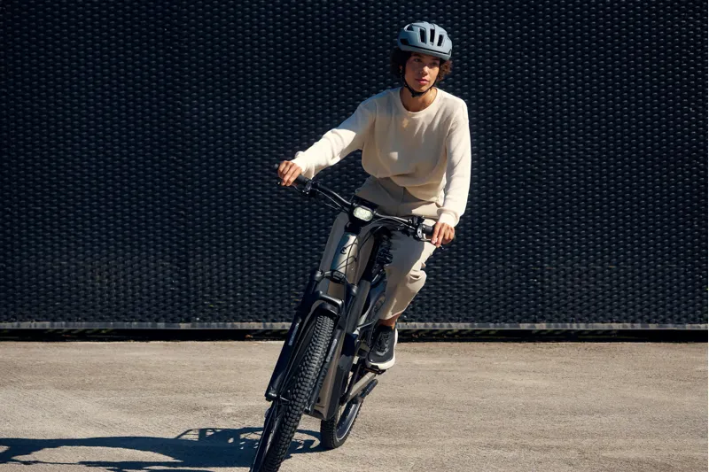 Riese and Müller Homage5-3