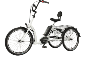 Pfautec Combo Tricycle 2023